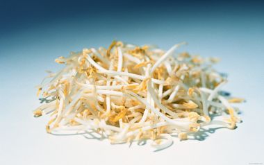 Bean sprouts, close-up