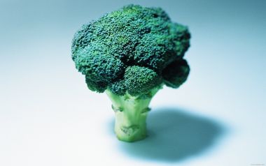 Broccoli, close-up