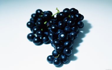 Bunch of black grapes, close-up