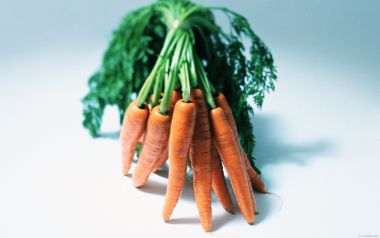 Bunch of carrots, close-up