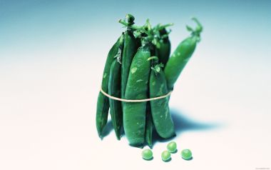 Bundle of peapods, close-up