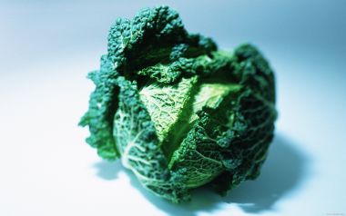 Cabbage, close-up