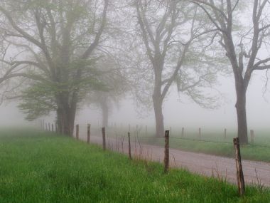 Cades_Cove_in_Early_Spring_Great_Smoky_Mountains_Tennessee