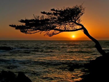 Carmel_Sunset_California