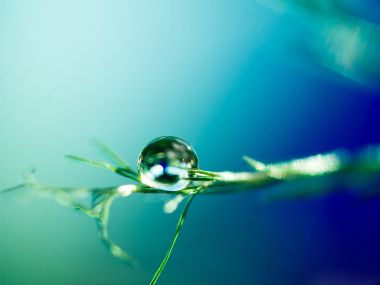 Close_up_waterdrop_on_leaf_cb_wp_11_cassandra