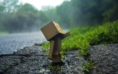Danbo_Danboard_photo_130831