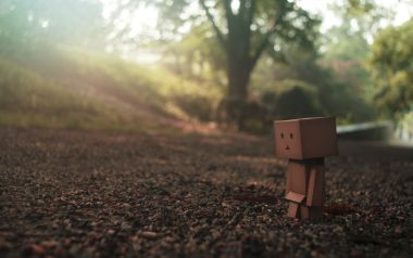 Danbo_Danboard_photo_151033