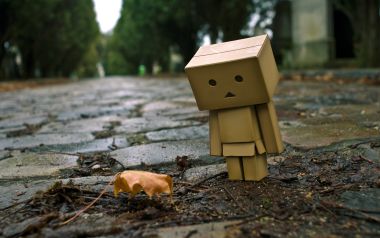 Danbo_Danboard_photo_211639