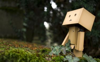 Danbo_Danboard_photo_221740