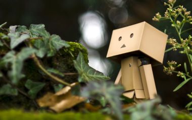 Danbo_Danboard_photo_231841