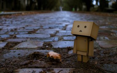 Danbo_Danboard_photo_241942