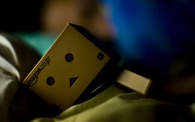 Danbo_Danboard_photo_252043