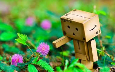 Danbo_Danboard_photo_262144