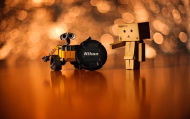 Danbo_Danboard_photo_312649