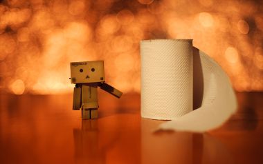 Danbo_Danboard_photo_332851