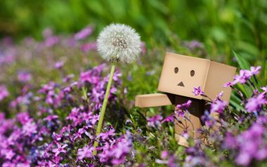 Danbo_Danboard_photo_342952