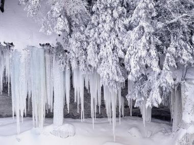 Winter Forest Icicles And Snow Scene