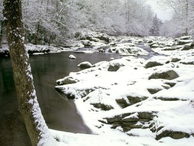 冬季森林雪景溪流