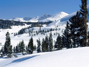 冬季雪山针叶林自然风光