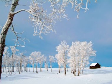 Lonely Wooden Cabin In Winter Snow Scene