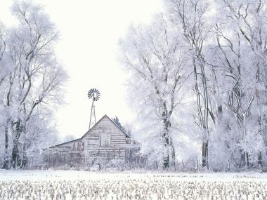 冬日雪景中的乡村木屋与风车