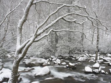 冬季森林雪景溪流
