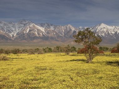 Eastern_Sierra_Crest_California