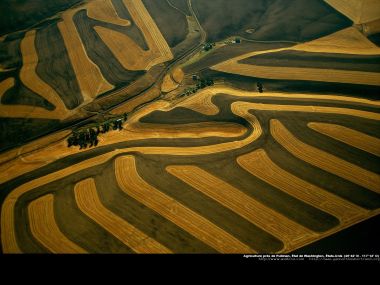 Farming near Pullman, Washington, United States