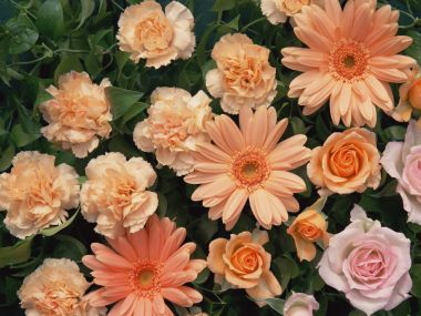Flower_art_DT024
