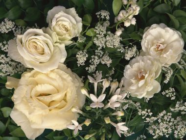Flower_art_DT028