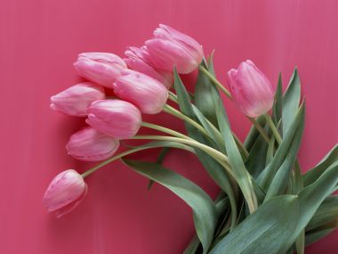 Flower_art_DT082