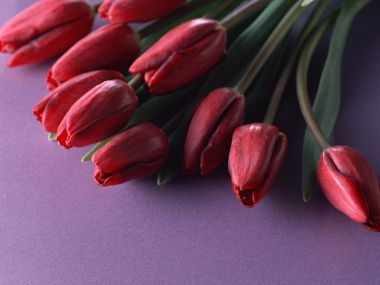 Flower_art_DT085