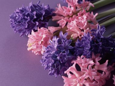Flower_art_DT086