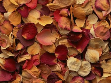 Flower_art_DT191