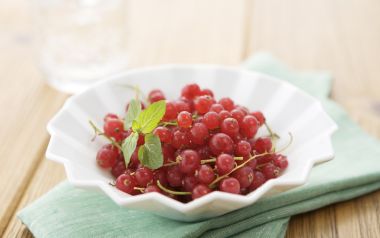 Fresh Fruit Dessert Photo Jt149