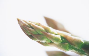 Fruits_and_Vegetables_Photos_MIL05096