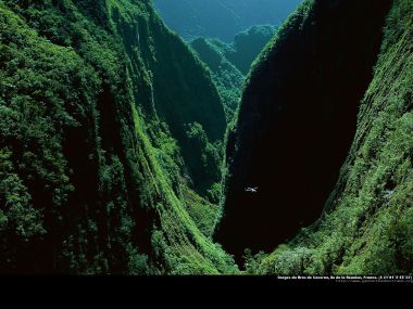 Gorges du Bras de Caverne, ile de la Réunion, France