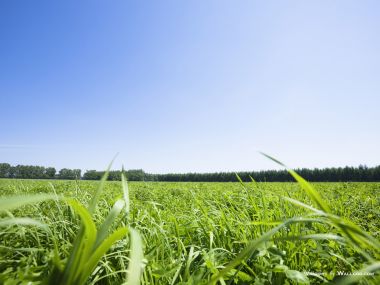 green-grassland-under-sky-photo-004