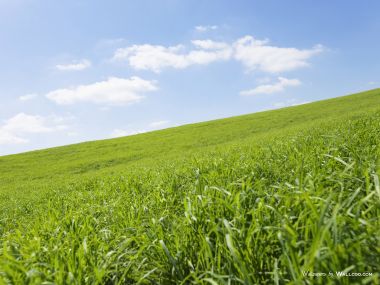 green-grassland-under-sky-photo-010