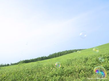 green-grassland-under-sky-photo-012
