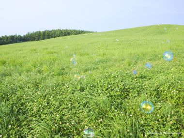 green-grassland-under-sky-photo-015