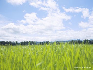 green-grassland-under-sky-photo-016