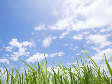 green-grassland-under-sky-photo-024