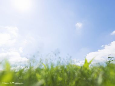 green-grassland-under-sky-photo-026