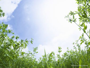 green-grassland-under-sky-photo-033