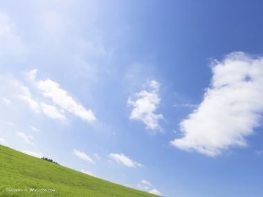 green-grassland-under-sky-photo-041