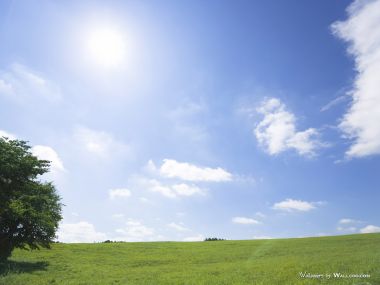 青青草原 – 草原天空摄影壁纸