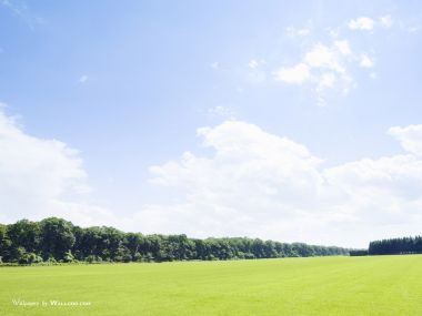 green-grassland-under-sky-photo-048