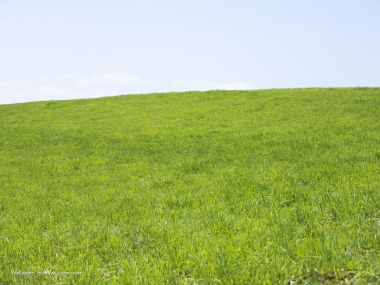 green-grassland-under-sky-photo-055