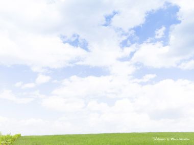 green-grassland-under-sky-photo-057